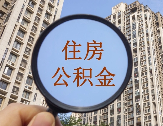 公积金利率怎么查询-阳谷公积金代办平台